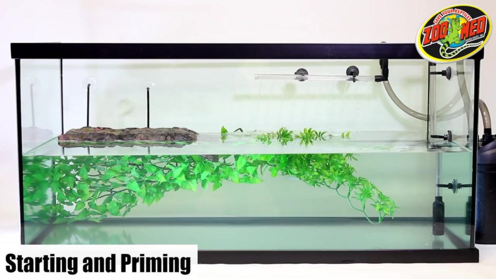 Set up fish tank