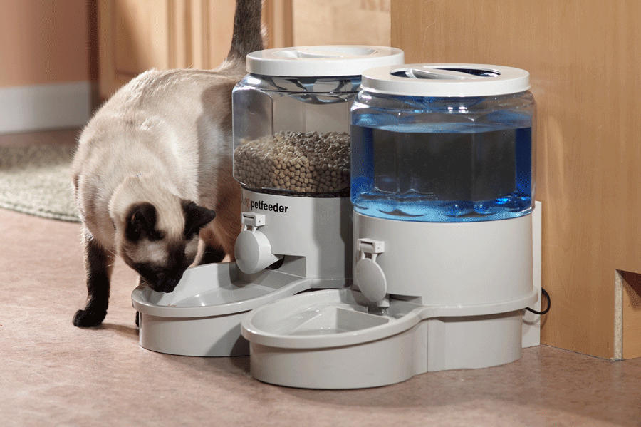 automatic feeder